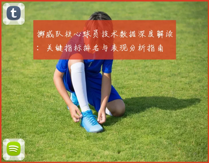 挪威队核心球员技术数据深度解读：关键指标排名与表现分析指南