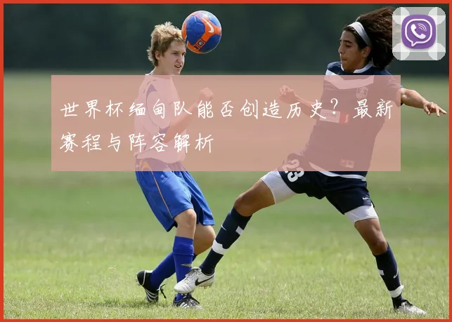 世界杯缅甸队能否创造历史？最新赛程与阵容解析