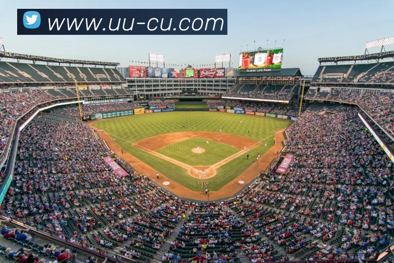 数据分析功能
